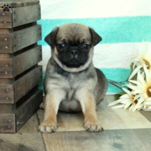 Cooper