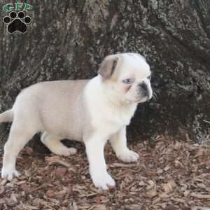 Piper - Image 3