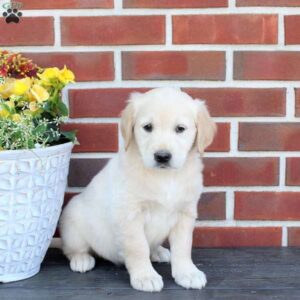 Tillie