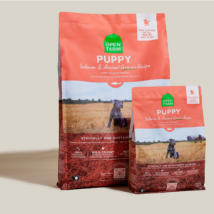 Salmon & Ancient Grains Puppy Kibble