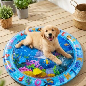 Pet cooling mat