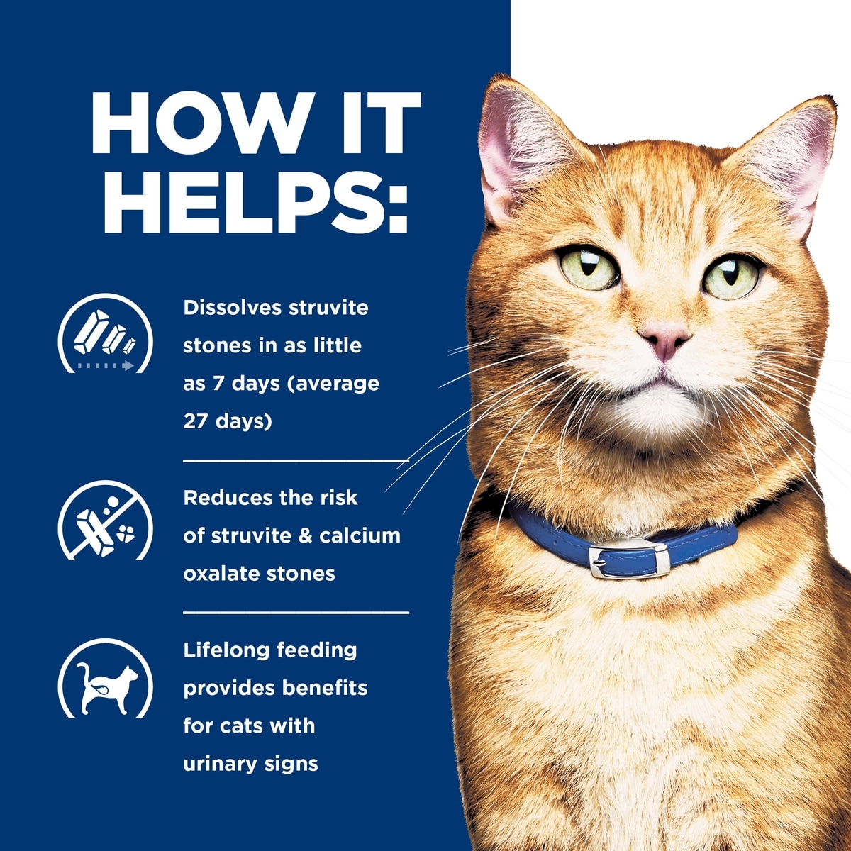 Cat food - Image 4